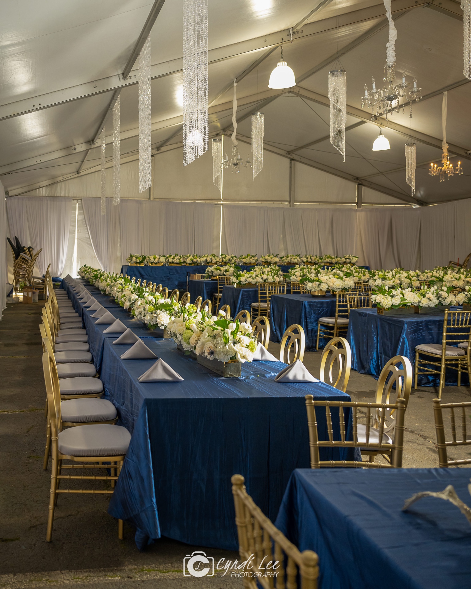 Blue Tent Wedding Reception